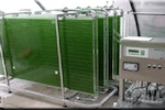 Natural Innovation.org